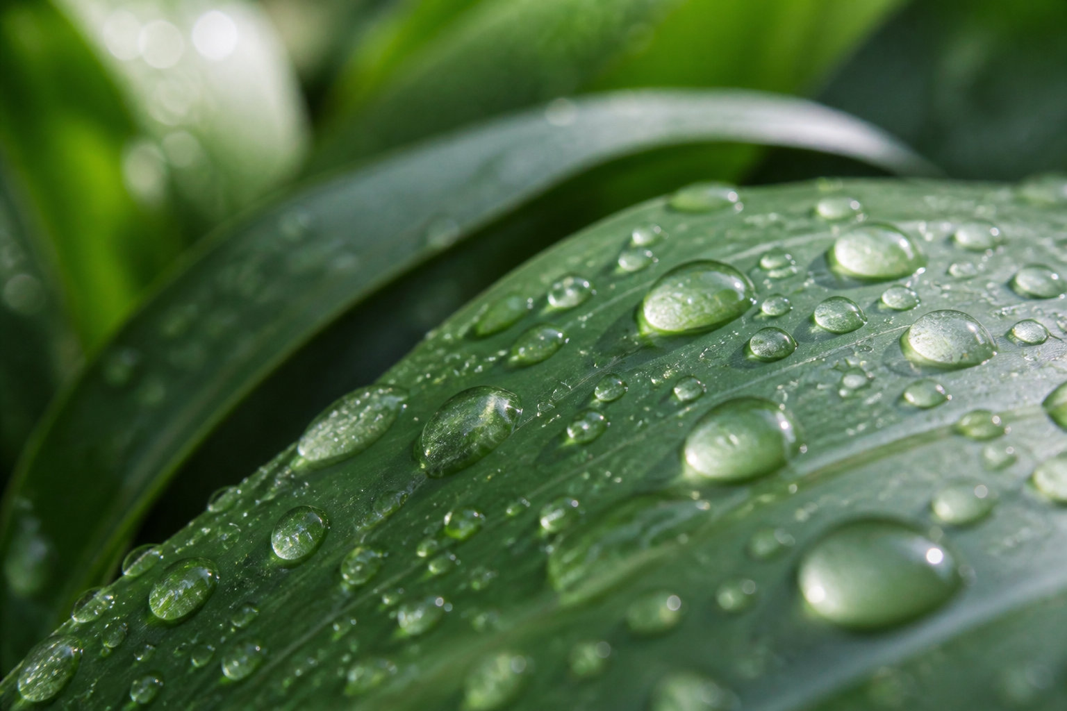 3 actions concrètes pour désincruster tes pores et calmer l'acné
